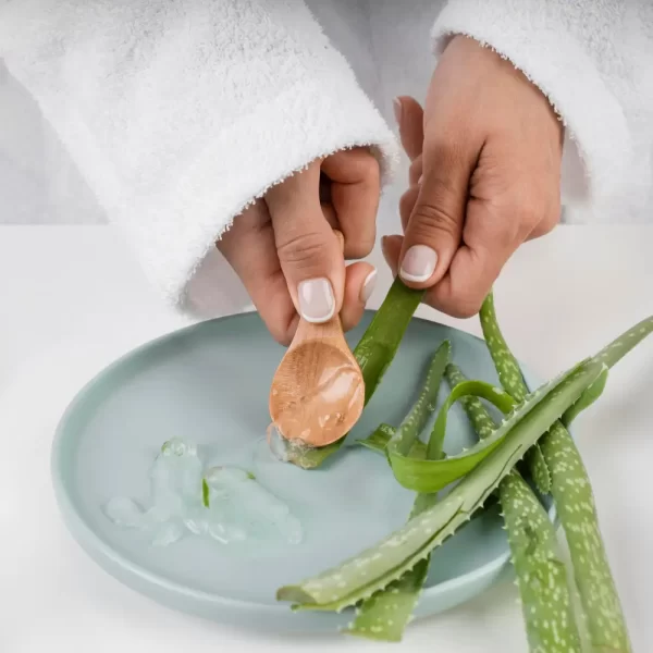 Foto zdroj: Freepik - Matky v nesnázích aloe vera