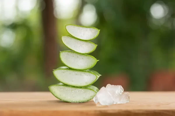 Foto zdroj: Freepik - Matky v nesnázích aloe vera