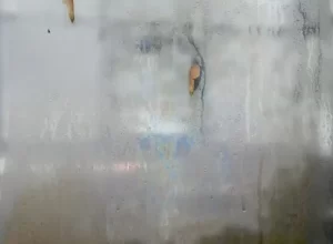 dveře sprchového koutu