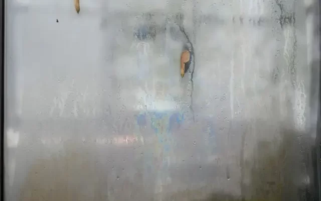dveře sprchového koutu