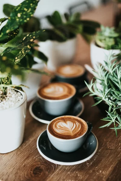 cappucino