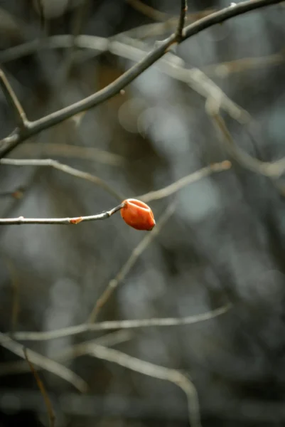 foto zdroj: Unsplash - Matky v nesnázích šípek